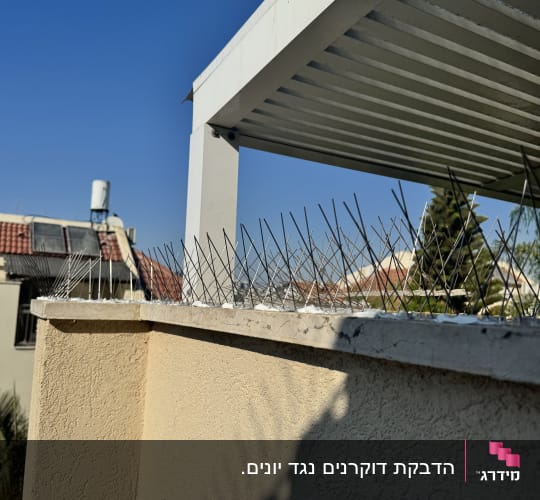 גג עם קוצים למניעת ציפורים על מעקה